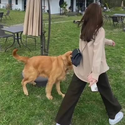 冒险行者